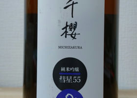 Michizakura 签到 1