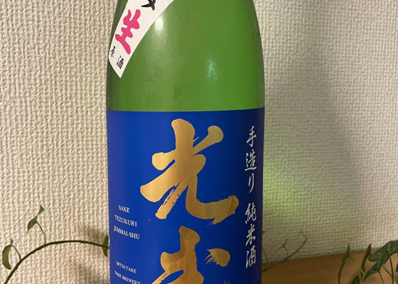 alt 1
