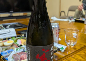 alt 3