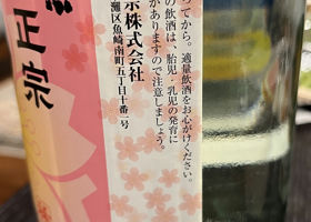alt 2
