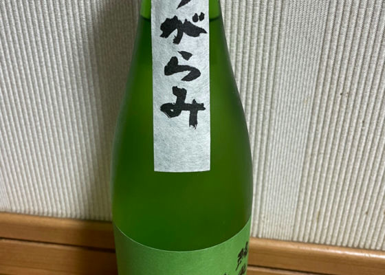 alt 1