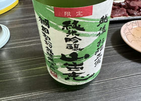 alt 3