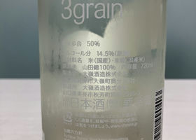 alt 3