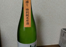 alt 3