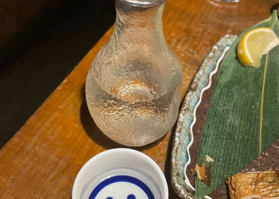 alt 1