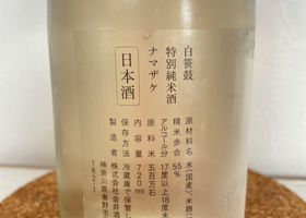 alt 2