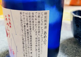 alt 3