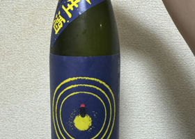 alt 1