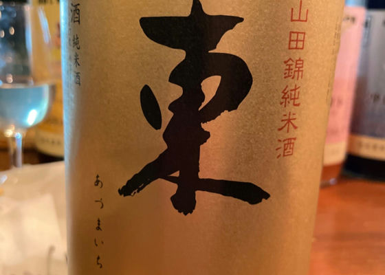 alt 1