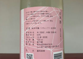 alt 2