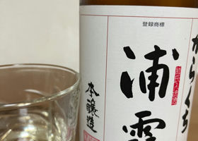 alt 3