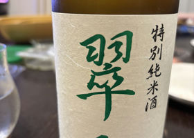 alt 1