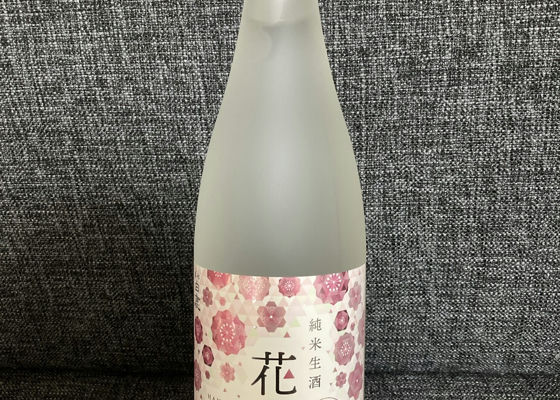 alt 1