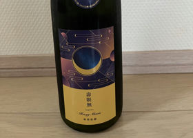 alt 1