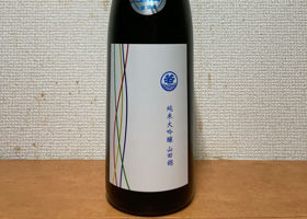 alt 1
