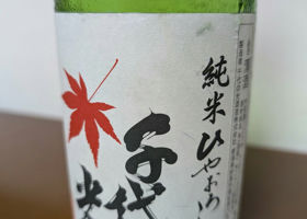 alt 1