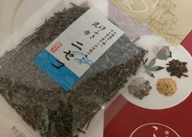 alt 3