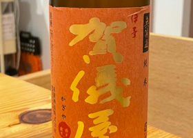 alt 1