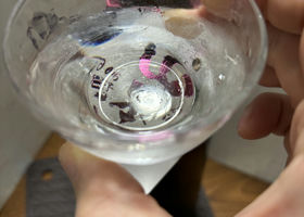 alt 1