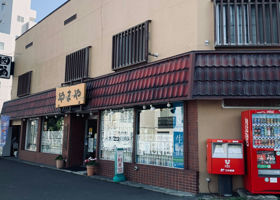 alt 3