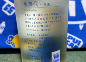 alt 3
