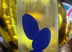 大嶺 チェックイン 3
