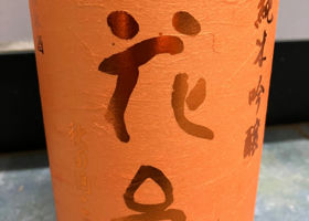 alt 1