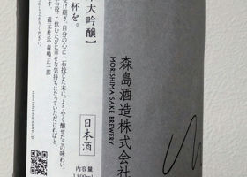 alt 3