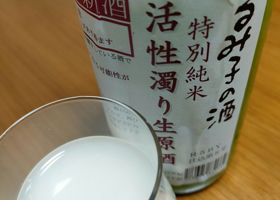 alt 2