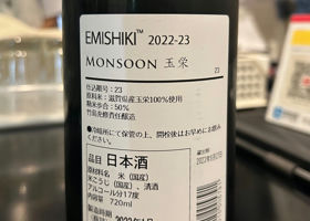 Monsoon チェックイン 2