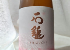 Ishizuchi Check-in 2
