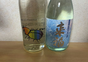 alt 2