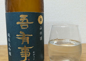 alt 3