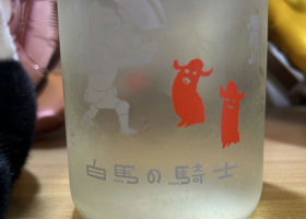 alt 3