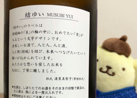 Musubi Yui Check-in 4