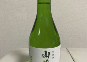 alt 1