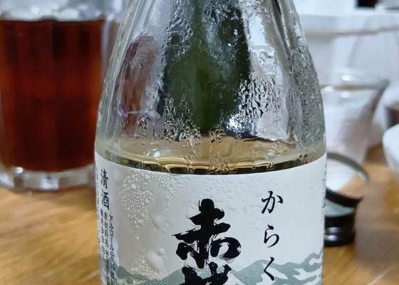 alt 1