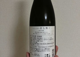 alt 3