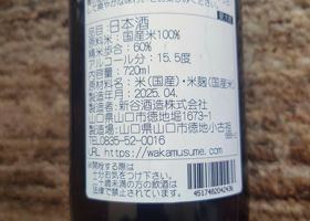 alt 1