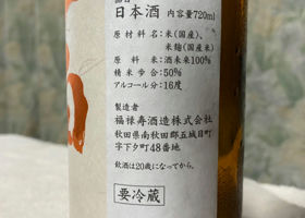 alt 3