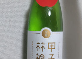 alt 1