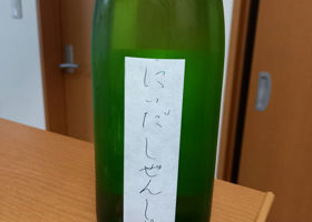 alt 3