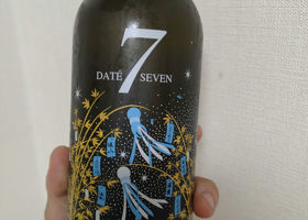 DATE SEVEN チェックイン 1