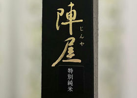 alt 3