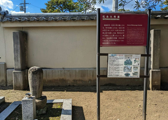 朝日鷹
