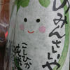 Kyokuho 2