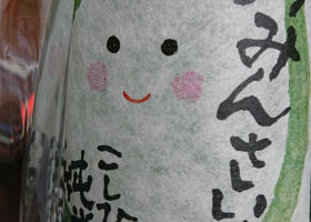 alt 1