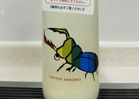 alt 1