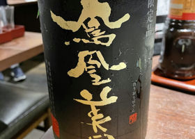 alt 1