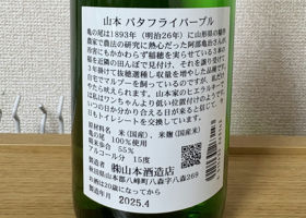 alt 3